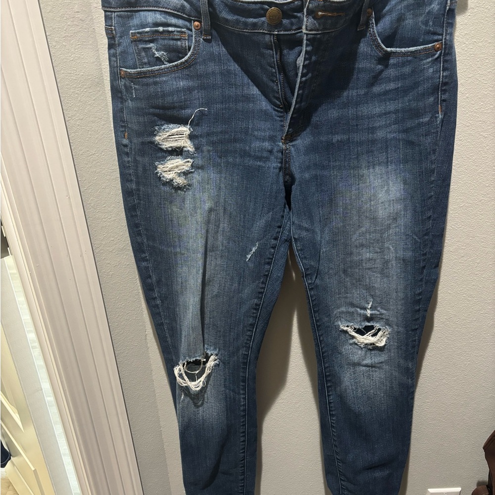 LOFT Distressed Curvy cut Blue Jeans